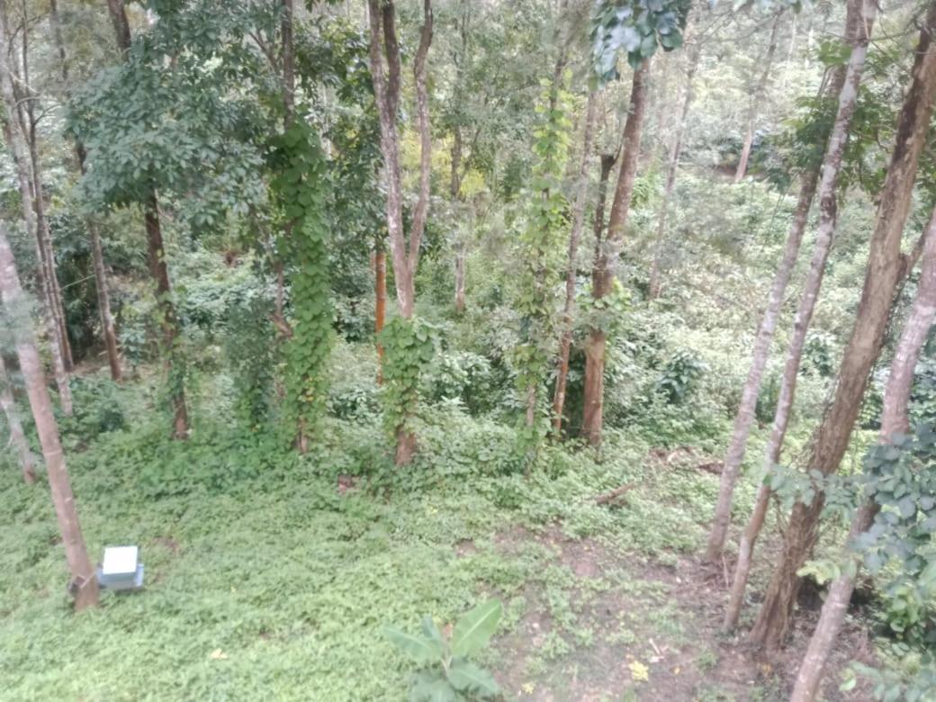 Elephant Path Coorg 3Bhk Suntikoppa المظهر الخارجي الصورة